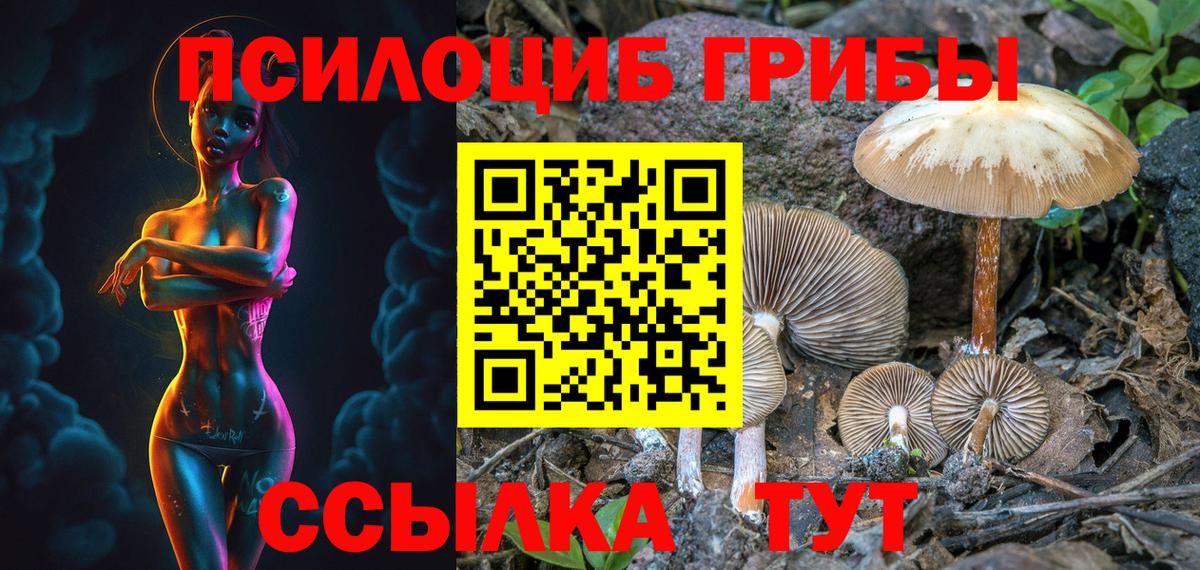Карпинск  закладка  Вход с VPN  Галлюциногенные грибы MAGIC MUSHROOMS 